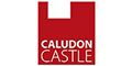 Logo for Caludon Castle School