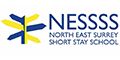 Logo for North East Surrey Secondary Short Stay School