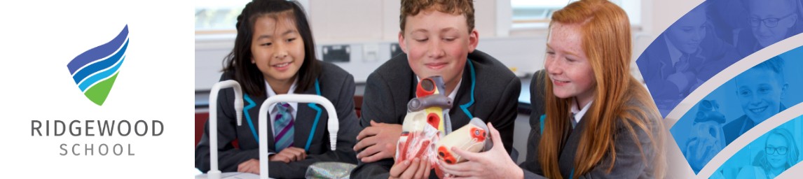 School image