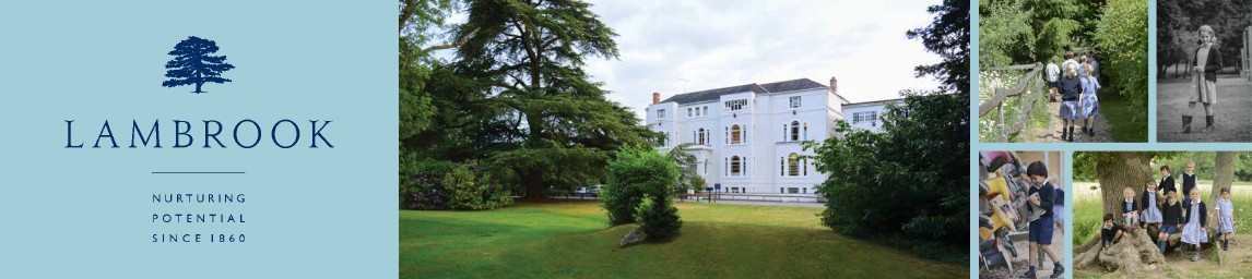School image