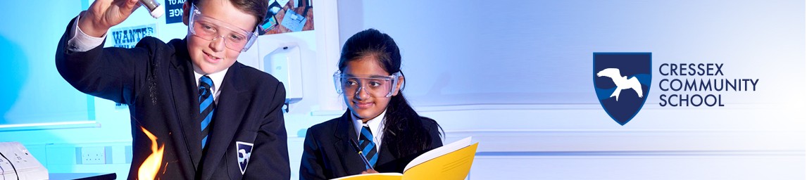 School image