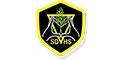 Logo for St David's High School