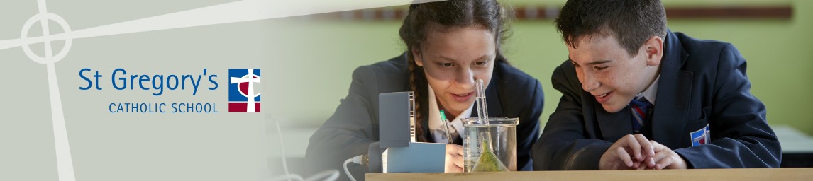 School image