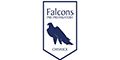 Logo for Falcons Pre-Preparatory Chiswick