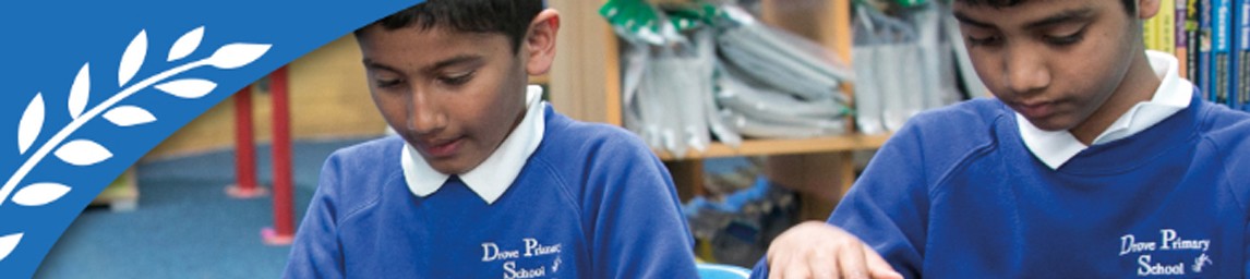 School image