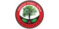 Logo for Hollyfast Primary School