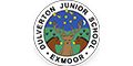 Logo for Dulverton Junior School