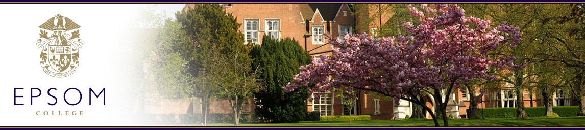 School image