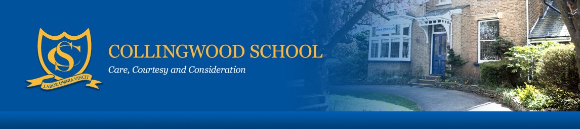 School image
