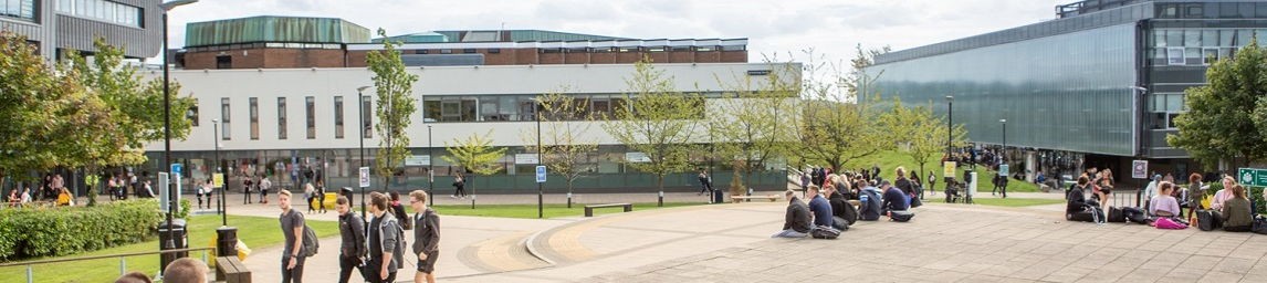 School image