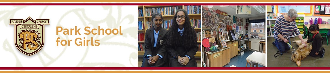 School image