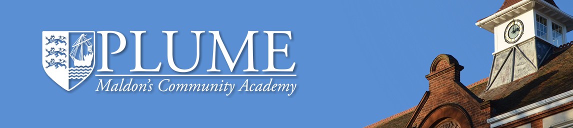School image