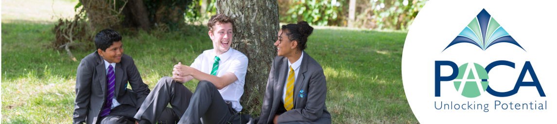 School image