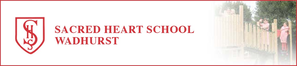 School image