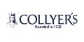 Logo for The College of Richard Collyer