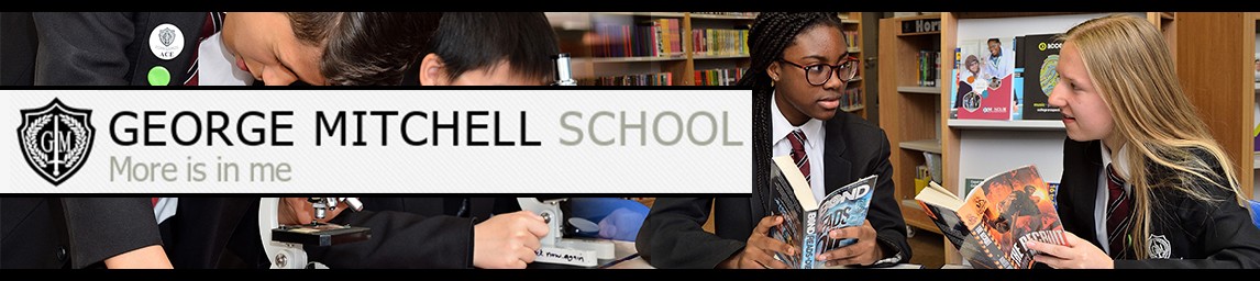 School image