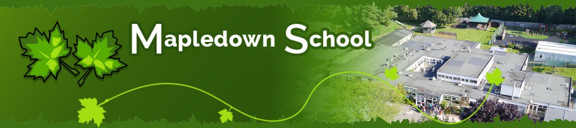 School image