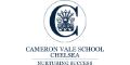 Logo for Cameron Vale School