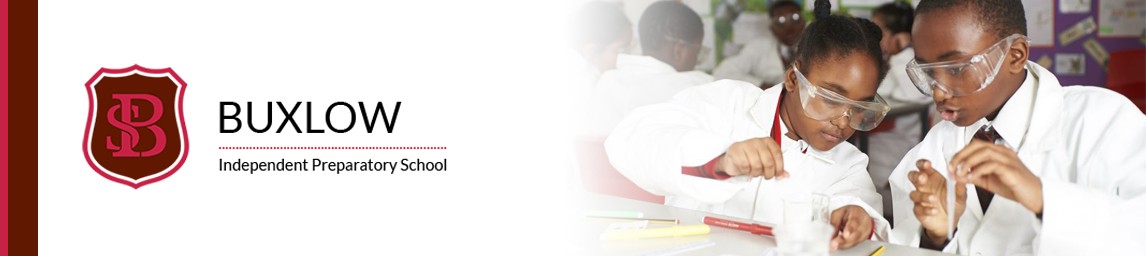 School image