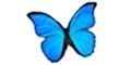 Logo for Papillon House