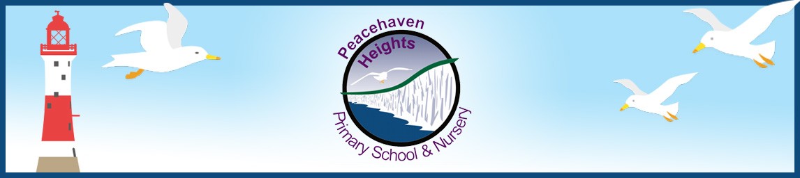 School image