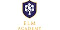 Logo for Elm Academy