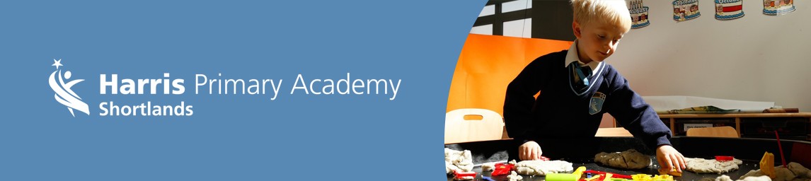 School image