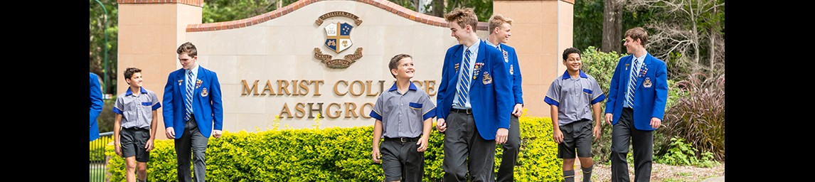 School image