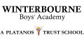 Logo for Winterbourne Boys' Academy