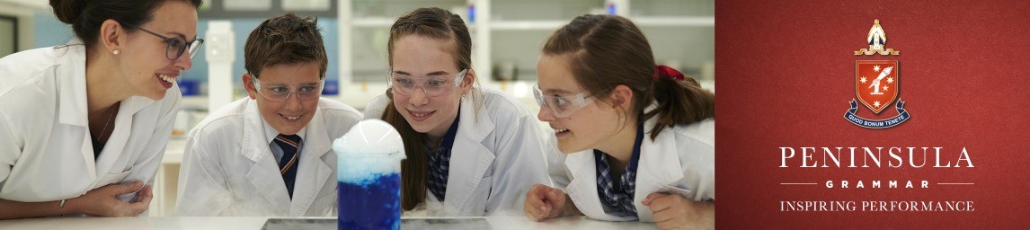 School image