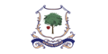 Logo for Newton International School - D-Ring