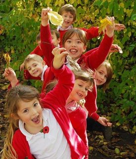 Multi Academy Trust Ceo Suffolk Tes Jobs