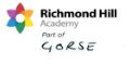Logo for Richmond Hill Academy