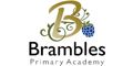 Logo for Brambles Primary Academy