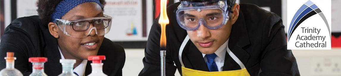 School image