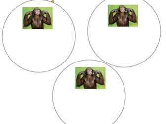 Reception Maths Unit Sharing & Weighing