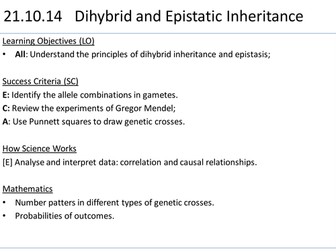 A2 Biology - Inheritance - 4. Dihybrid and Epistasis