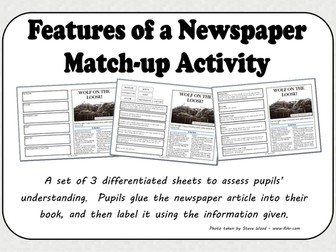 Features of a Newspaper Match-up Activity