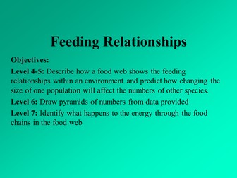 KS3 Pyramids of Numbers