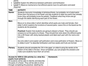 KS3 Plant Reproduction