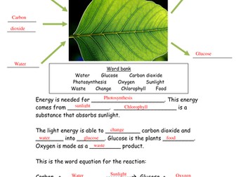 KS3 Rate of Photosynthesis