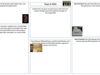 SNAB A2 Biology Immunity, Infection and Forensics Revision Sheets/Posters