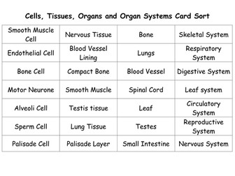 SNAB AS Biology Cellular Organisation