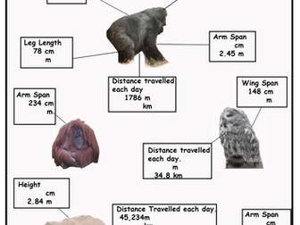 Complete Lesson - Year 5 Maths - Converting units of measure - length