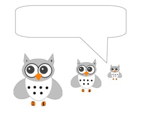 Reception Literacy unit based on 'Owl Babies'