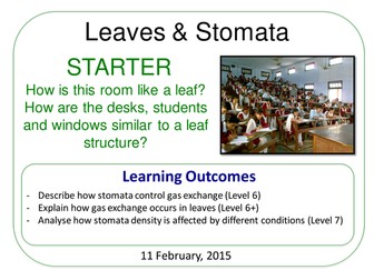 Year 7: Stomata (Plants & Ecosystems 7.6)