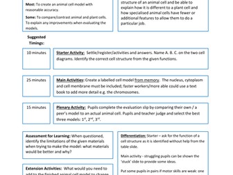 Making An Animal Cell Model