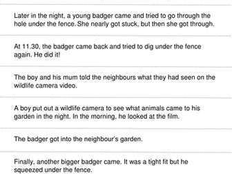 Badgers in the Garden