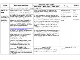 Year 4 Science: Digestion and Teeth