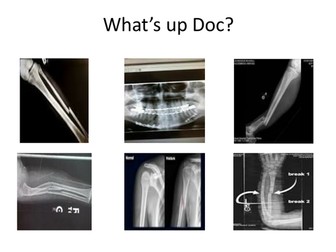 X-Rays and Ultrasound